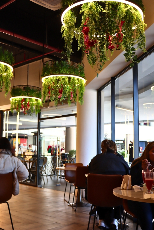 Darwin - Filosofía Darwin